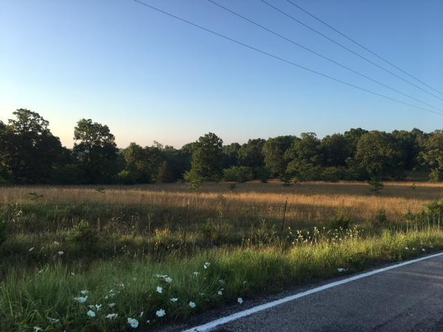 Tbd Highway 137 - Photo 1