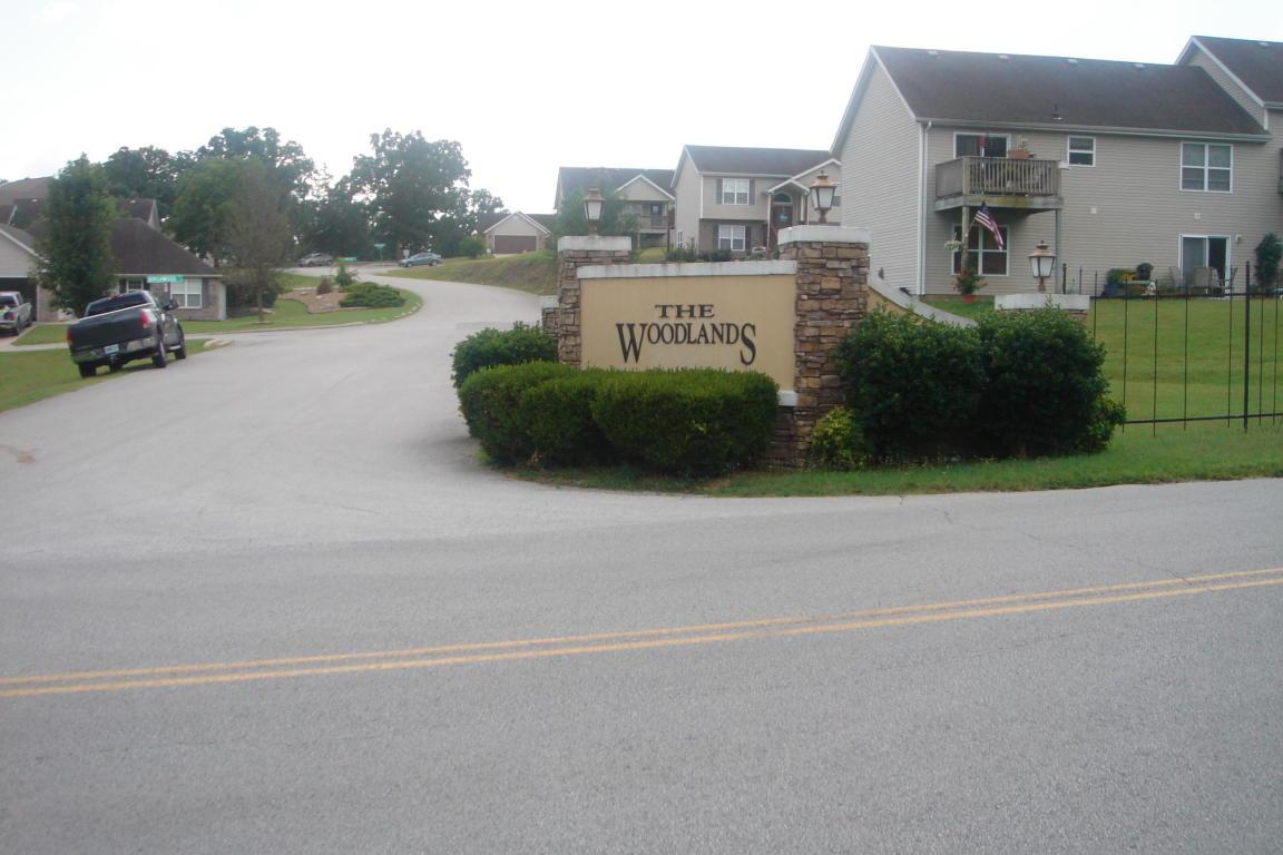 133 Birchwood Circle - Photo 1