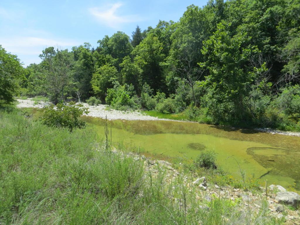 Lots 19 20 County Road 479 - Photo 1