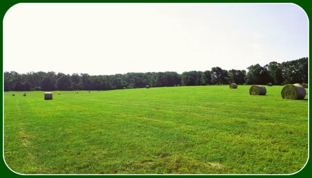16968 Highway B - Photo 1