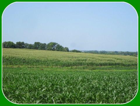 Tbd Highway 83 - Photo 1