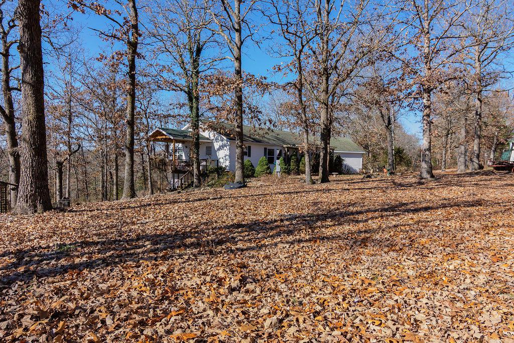 311 Tree Line Road - Photo 1
