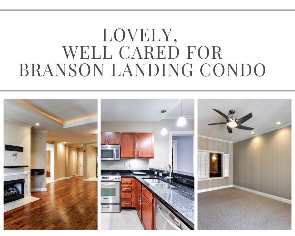 10404 Branson Landing Boulevard - Photo 1