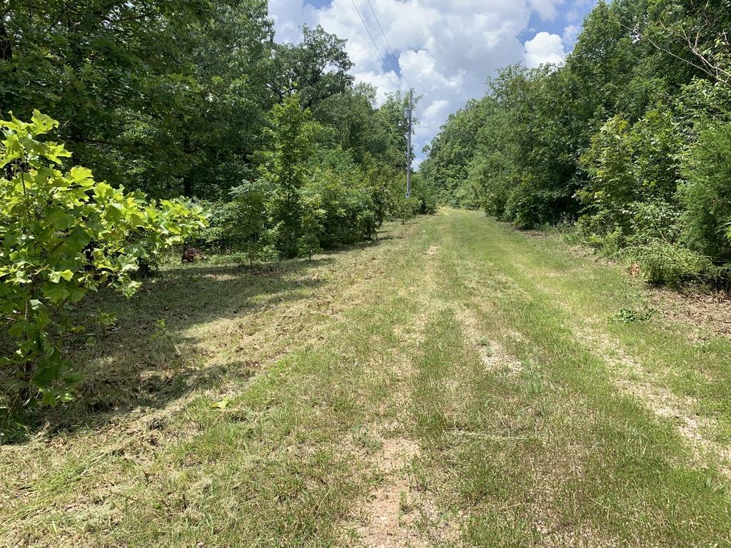 000 Catfish Lane - Photo 1