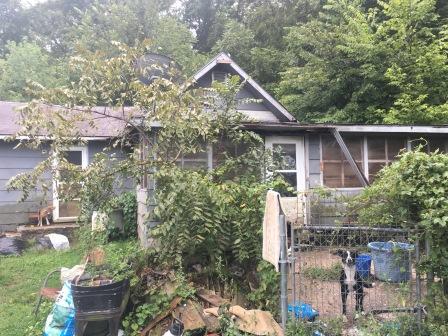354 Holt Spring Road - Photo 1
