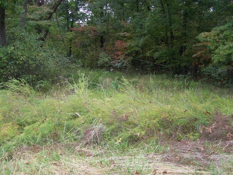 242 Rocky Point Loop - Photo 1