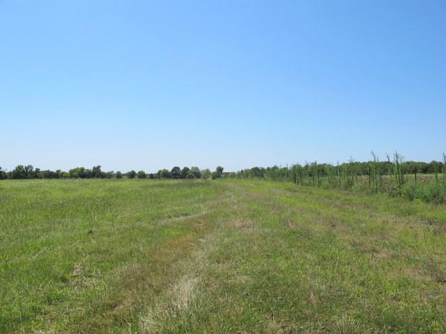 Tbd Highway 60 - Photo 1