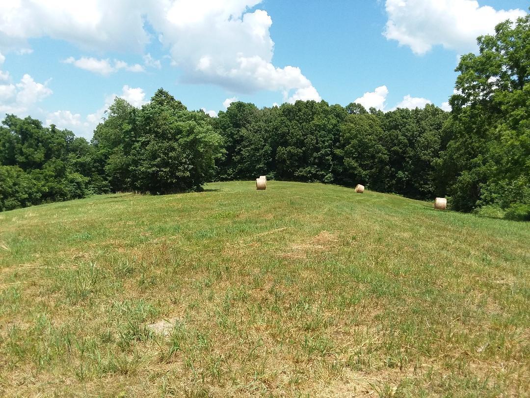 Tract 1 Schlessman Road - Photo 1
