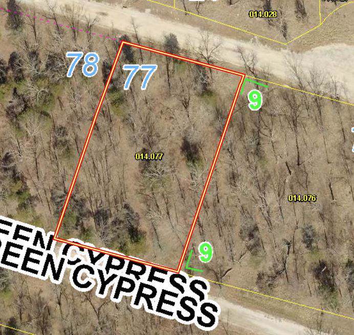 Lot 77 Eagles Point Lane - Photo 1