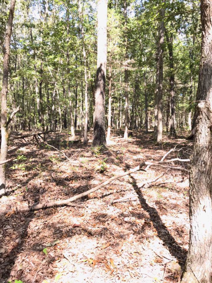 0 Whippoorwill Road - Photo 1