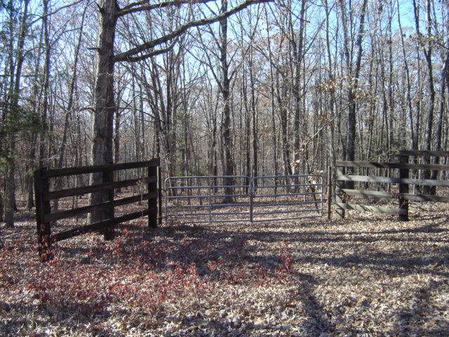 0000 Dent County Road 602 - Photo 1