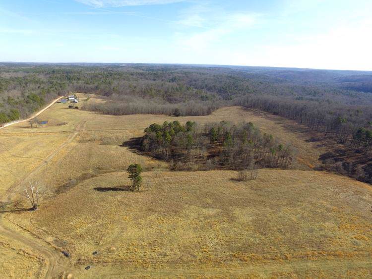 4569 County Road 289 - Photo 1