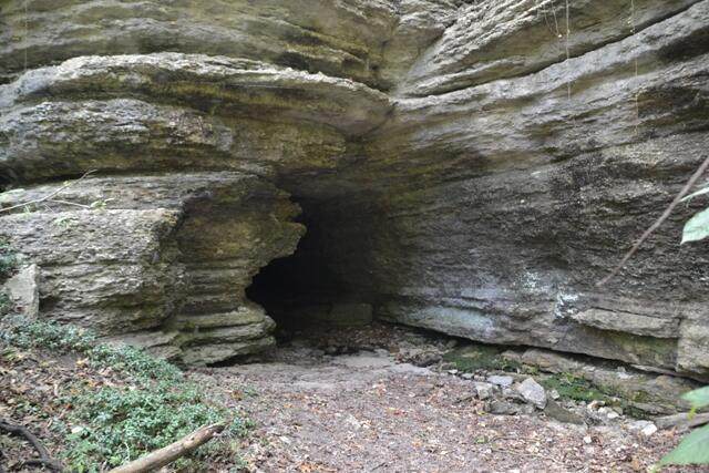 1431 Hicks Cave Road - Photo 1