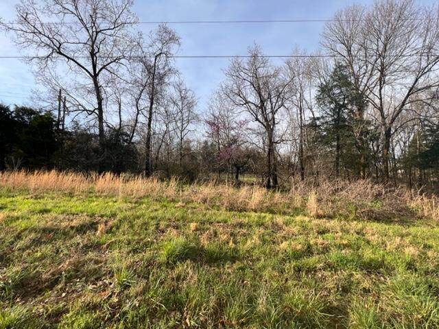 Tract 15 County Road 355 - Photo 1