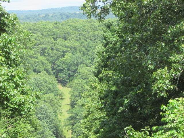 00 Tbd Tecumseh Trace - Photo 1