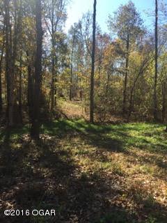 Xxx Mink Drive Tract 1 - Photo 1