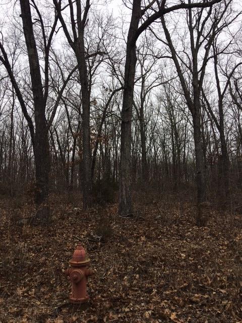 Tbd Grant Drive - Photo 1