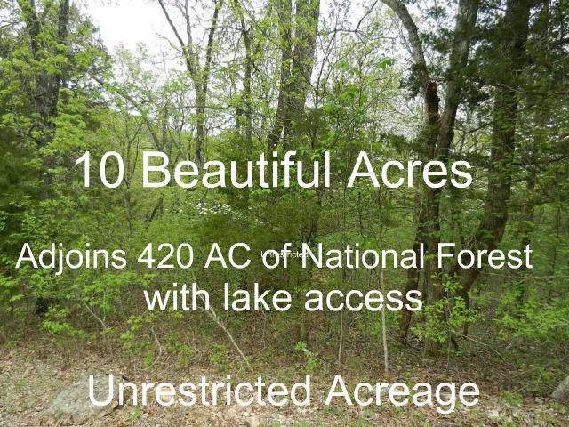 10+-Ac Pioneer Point Road - Photo 1