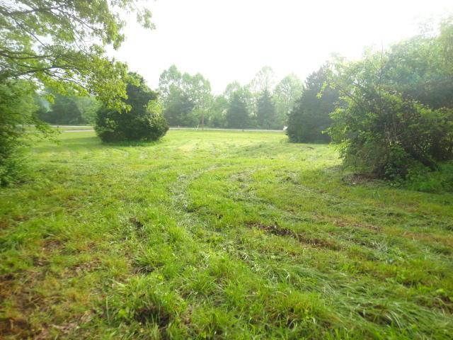 0 Tbd 1.6 Acres On Springfield Road - Photo 1