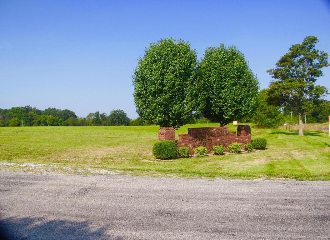 Lot 1 Clearsprings Road - Photo 1