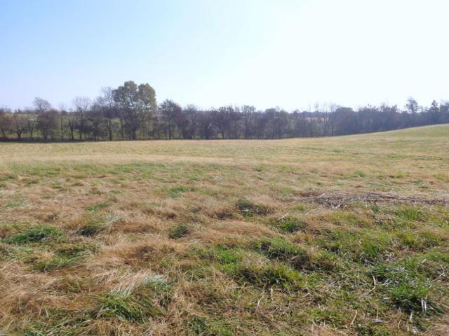 5300 Republic Road - Photo 1