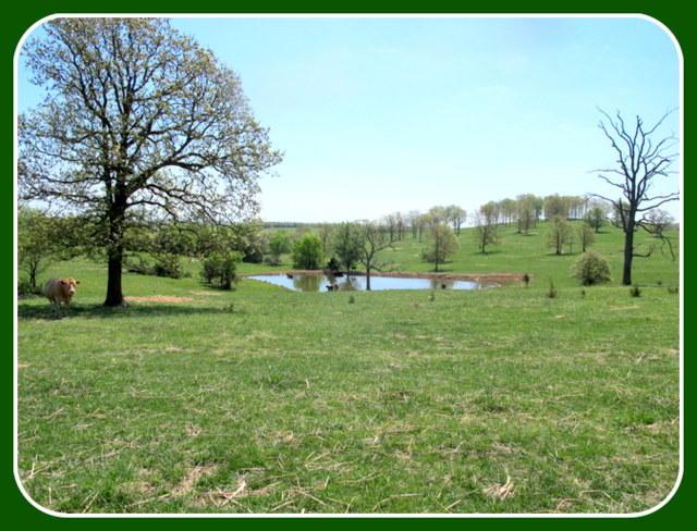 Tbd Starling Drive - Photo 1