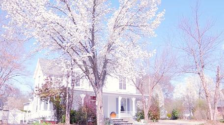 719 Wood Street - Photo 1