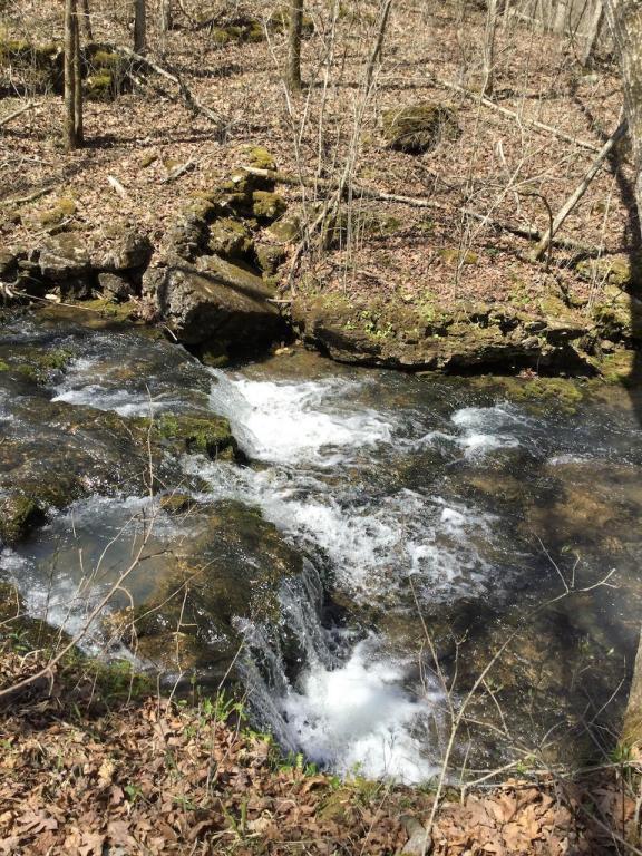 Tbd County Road E-412 - Photo 1