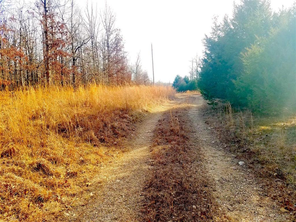 Tbd County Road 220 - Photo 1