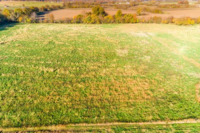 Tract 4 Farm Road 124 - Photo 1