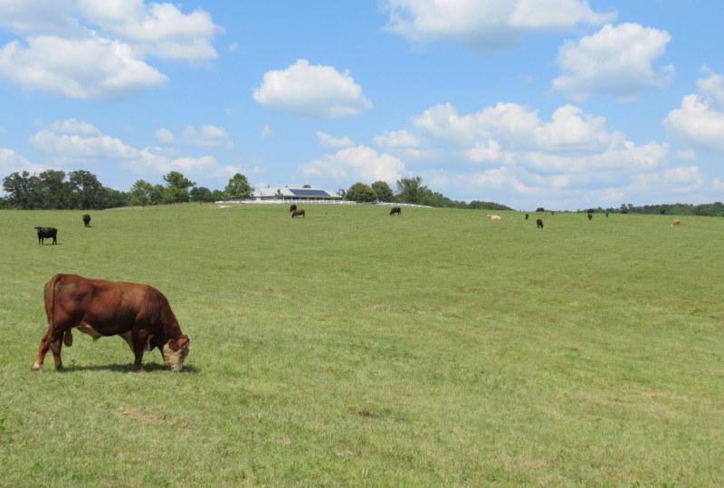 5200 Curtner Road - Photo 1