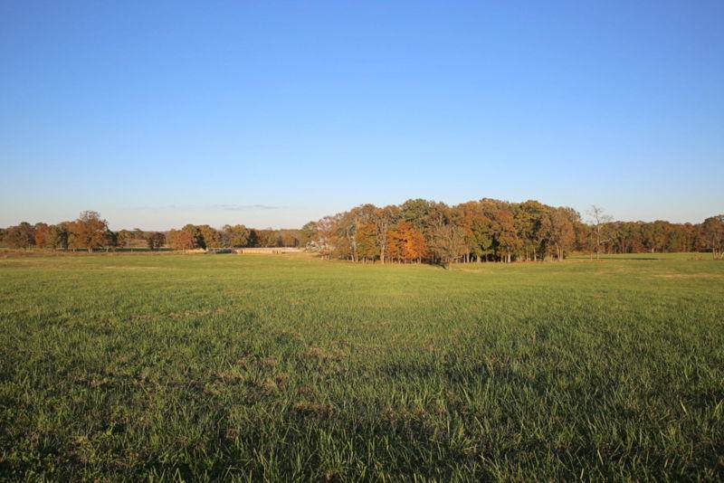 3892 Highway 95 - Photo 1