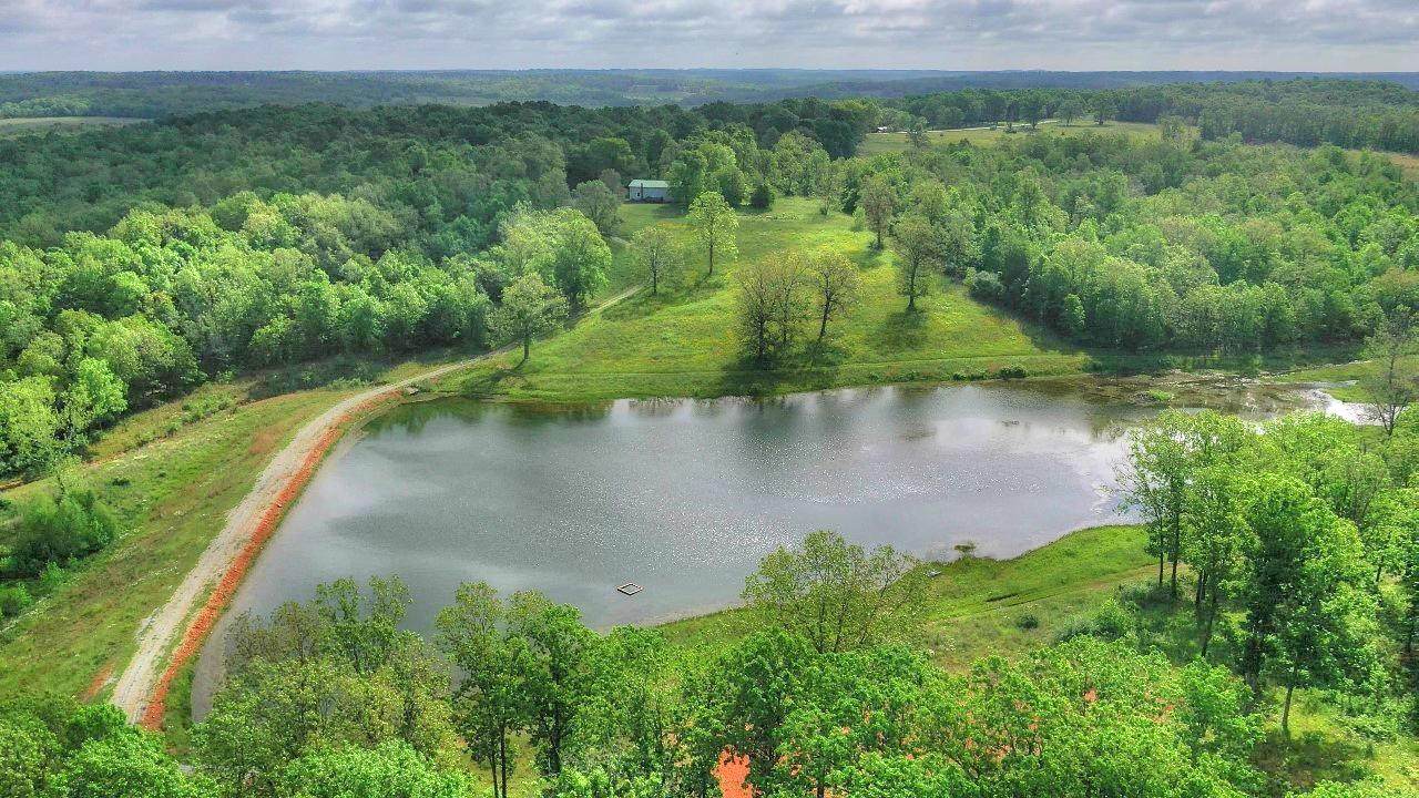 10781 State Hwy Mm - Photo 1
