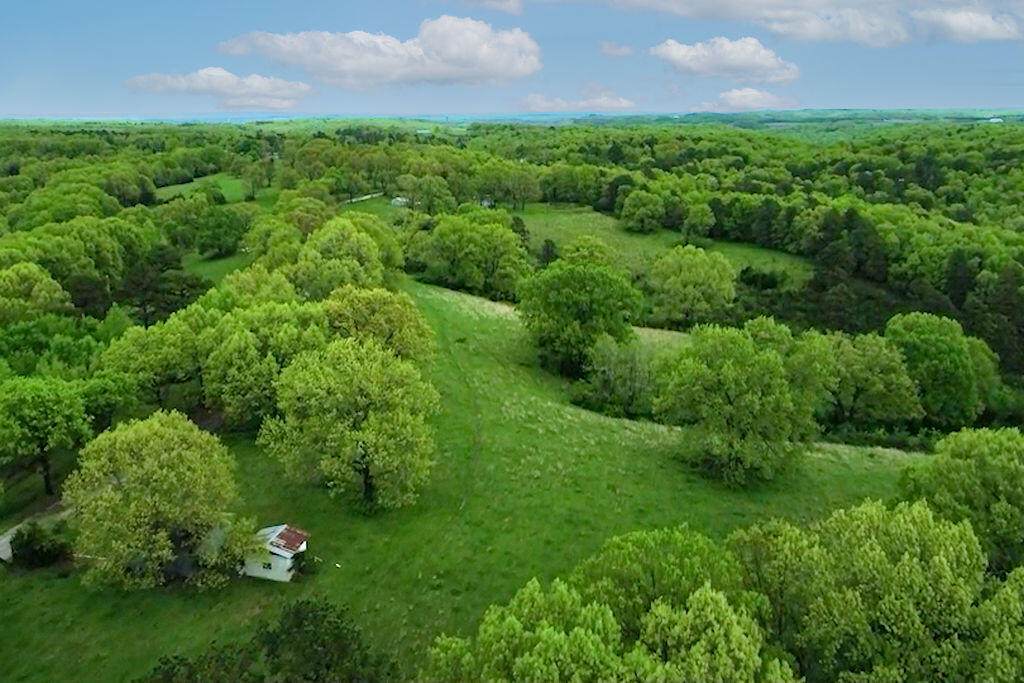 539 Countryside Road - Photo 1