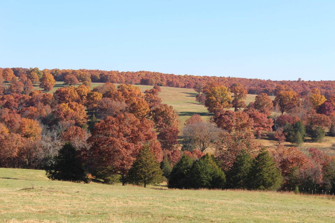 000 County Road 5580 - Photo 1