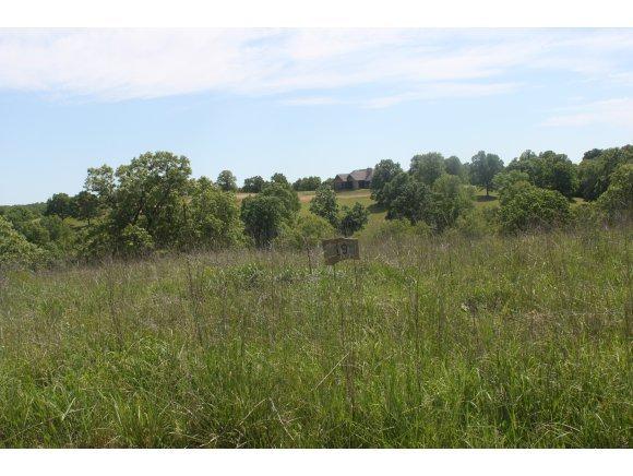 0 Lot 19 Vista Lane - Photo 1