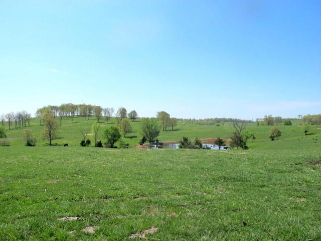 Tbd Starling Drive - Photo 1