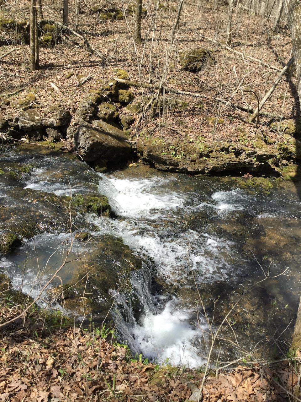 Tbd County Road E-412 - Photo 1