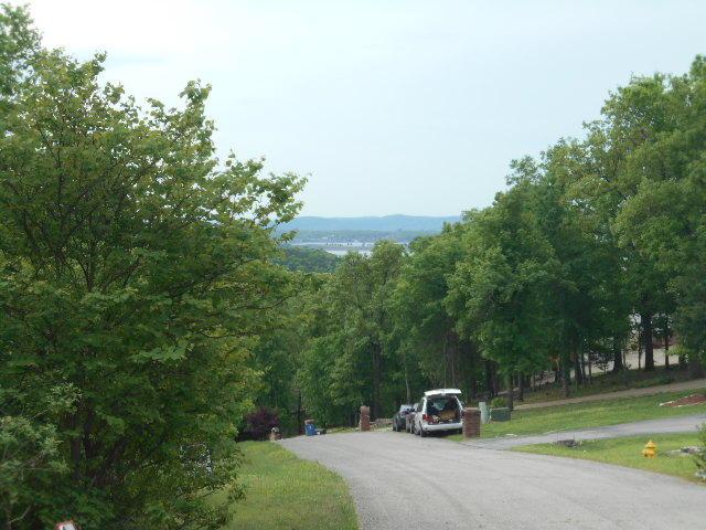 Lot 37 Hummingbird Hills Lane - Photo 1