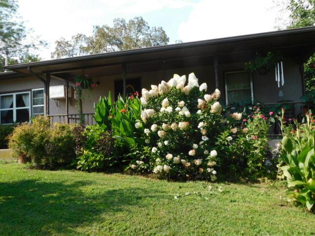3695 Wolfe Creek Road - Photo 1
