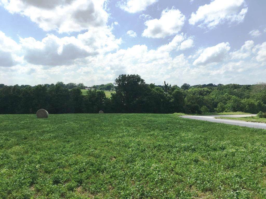 801 Fremont Road - Photo 1