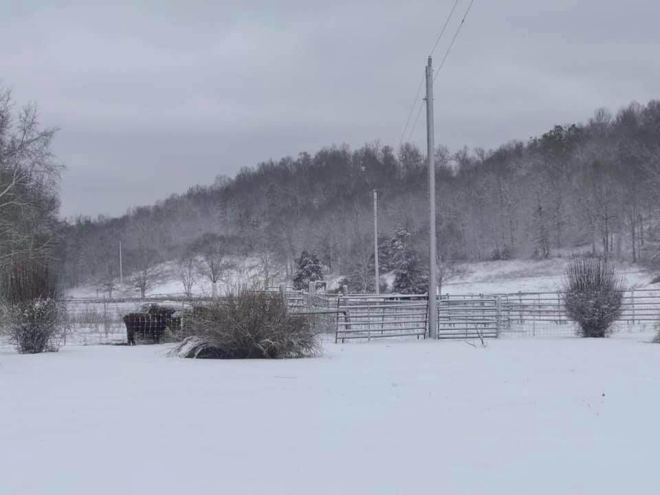 1704 County Road 612 - Photo 1