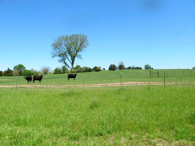 Tbd Kennedy Road - Photo 1