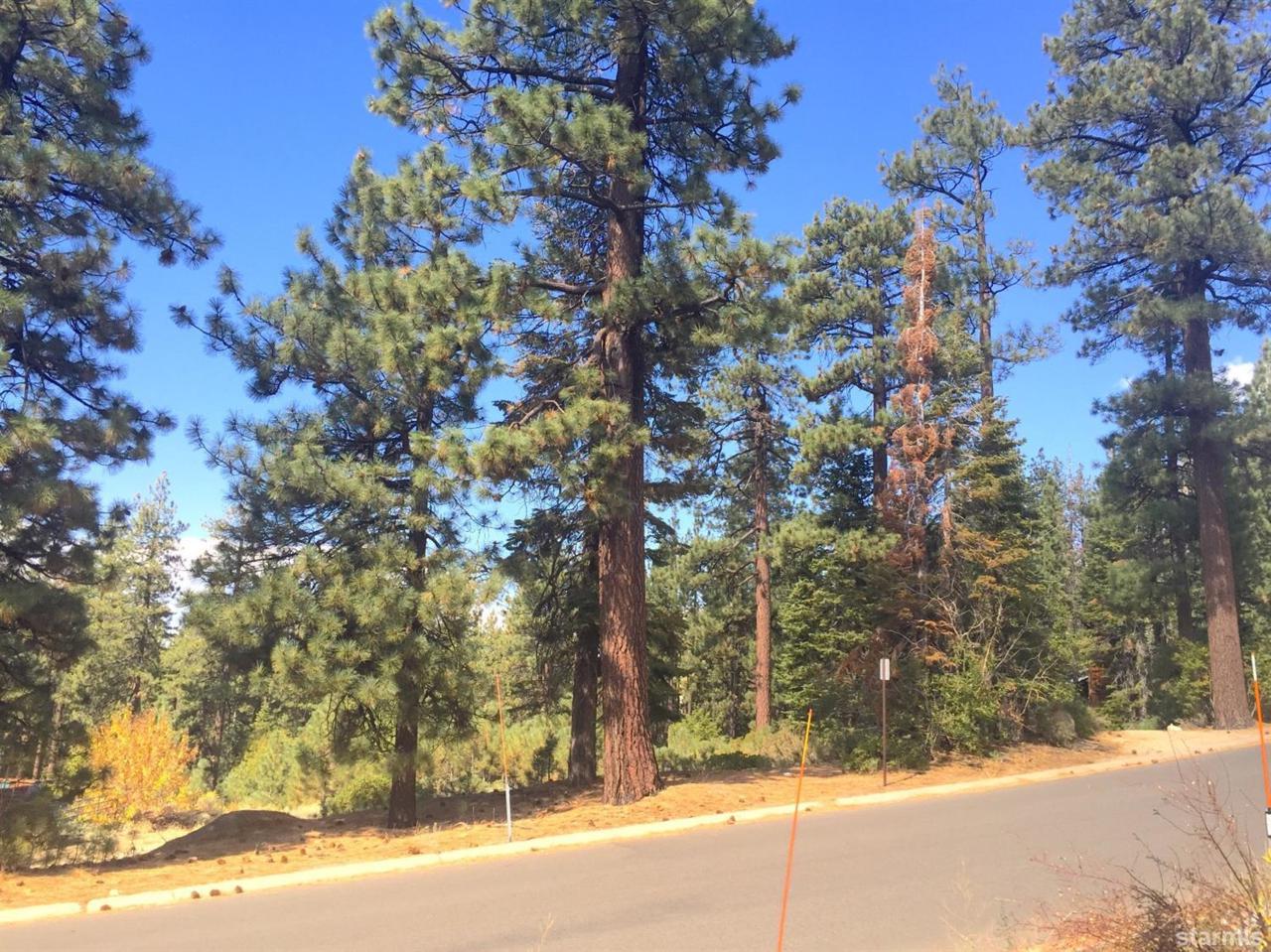 0 Saddle Road - Photo 1