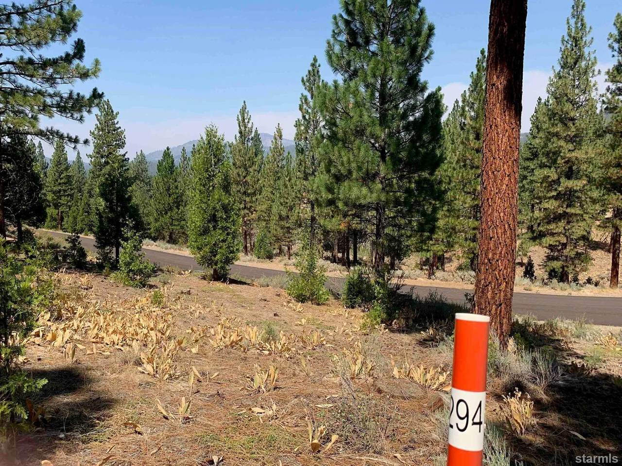 197 Starflower Drive - Photo 1