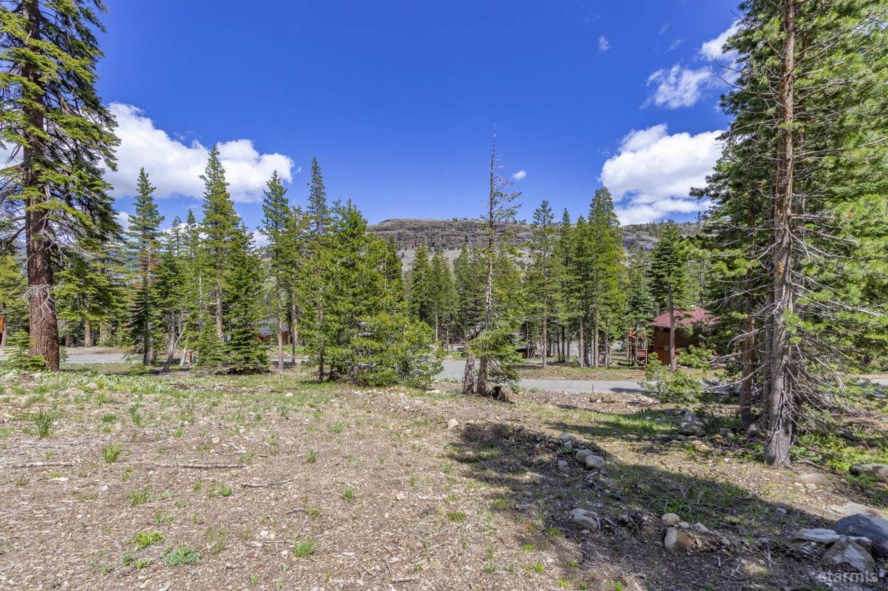 33795 Danburg Drive - Photo 1
