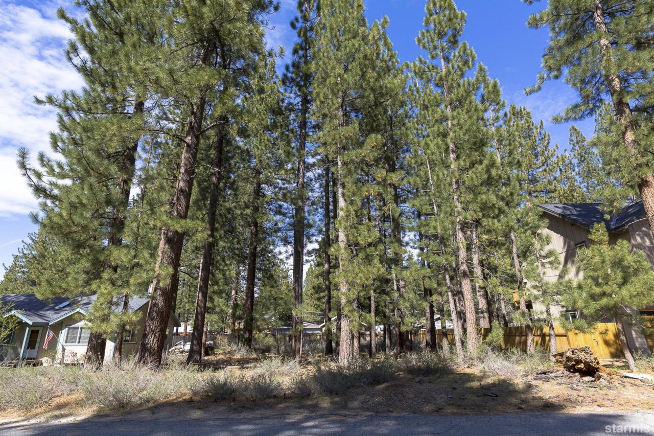 1351 Gilmore Lake Road - Photo 1