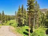 1050 Kirkwood Meadows Drive - Photo 11
