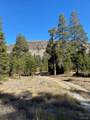 33856 Hawkweed Way - Photo 4