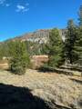 33856 Hawkweed Way - Photo 9